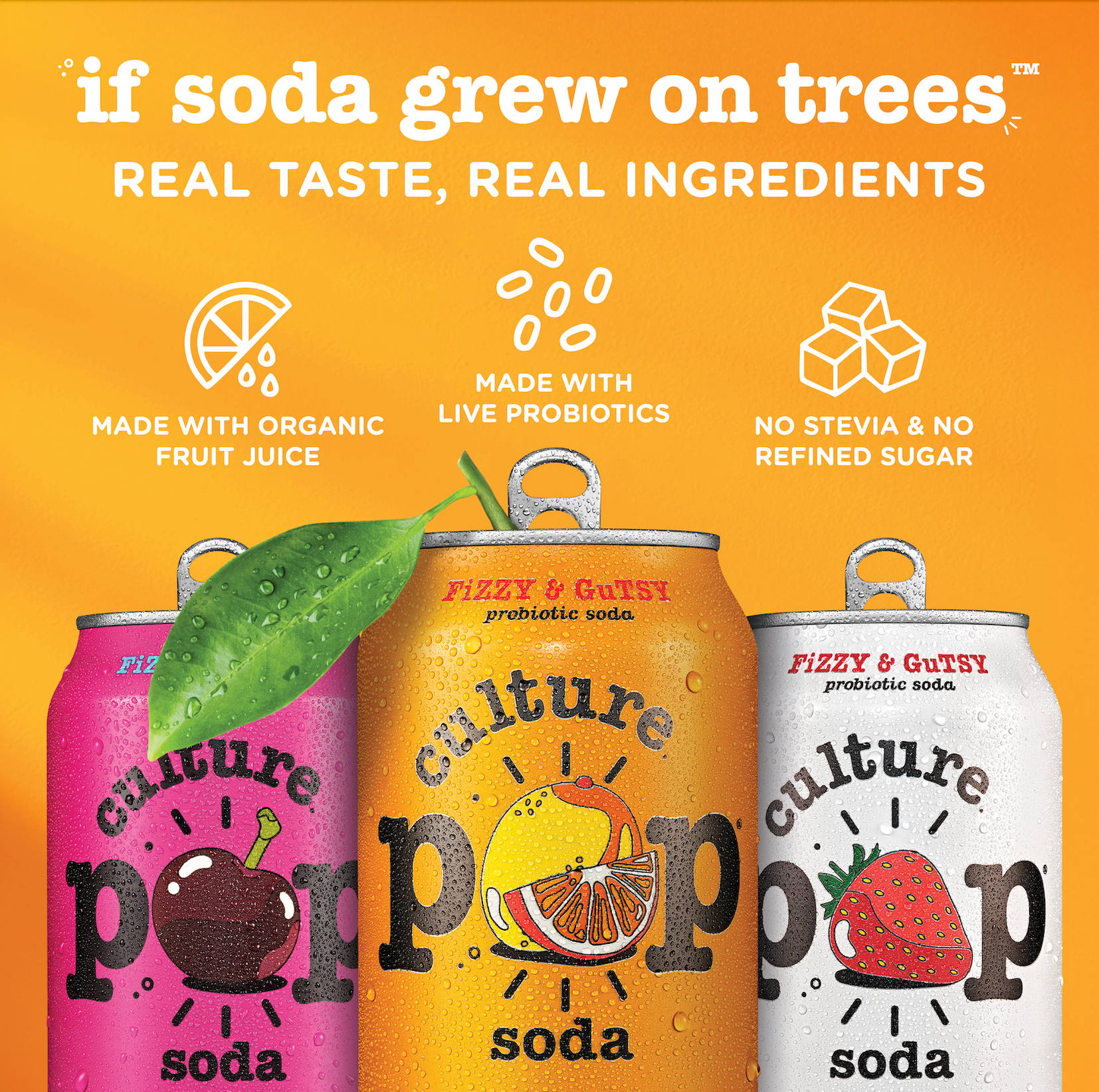 Culture Pop Sampler Pack
